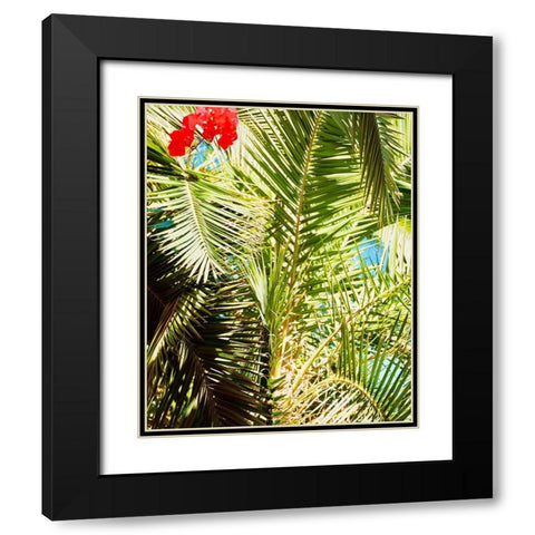 Tropics Black Modern Wood Framed Art Print with Double Matting by Singleton, Ashley