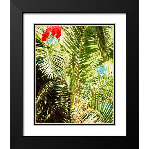 Tropics Black Modern Wood Framed Art Print with Double Matting by Singleton, Ashley
