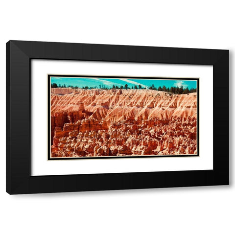 Natures Wonders Black Modern Wood Framed Art Print with Double Matting by Singleton, Ashley