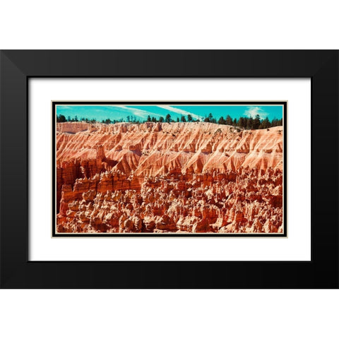 Natures Wonders Black Modern Wood Framed Art Print with Double Matting by Singleton, Ashley