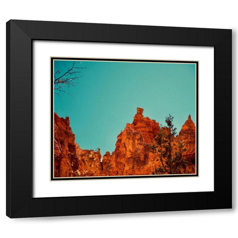 Natures Beauty Black Modern Wood Framed Art Print with Double Matting by Singleton, Ashley