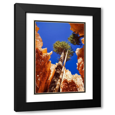 Standing Tall Black Modern Wood Framed Art Print with Double Matting by Singleton, Ashley