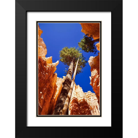 Standing Tall Black Modern Wood Framed Art Print with Double Matting by Singleton, Ashley