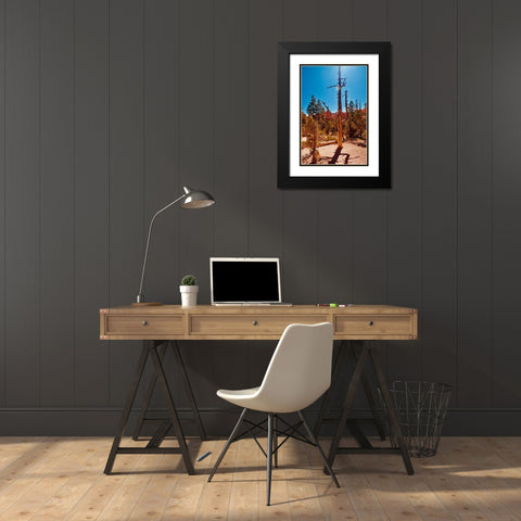 Timeless Treasures Black Modern Wood Framed Art Print with Double Matting by Singleton, Ashley