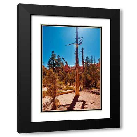 Timeless Treasures Black Modern Wood Framed Art Print with Double Matting by Singleton, Ashley