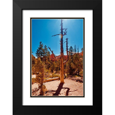 Timeless Treasures Black Modern Wood Framed Art Print with Double Matting by Singleton, Ashley