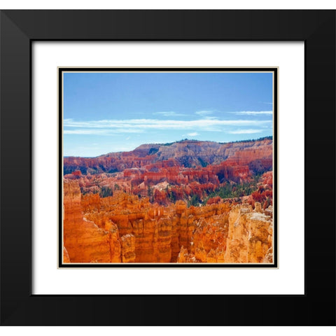 Bryce Canyon Overlook Black Modern Wood Framed Art Print with Double Matting by Singleton, Ashley