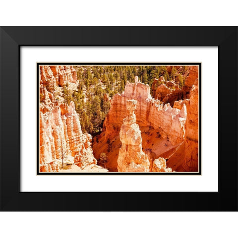 Hoo Doo Black Modern Wood Framed Art Print with Double Matting by Singleton, Ashley