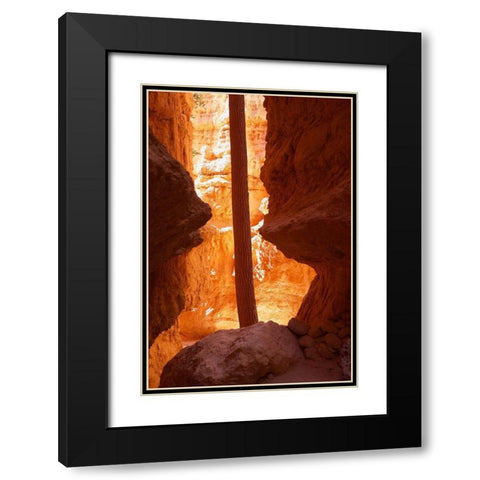 Determined Black Modern Wood Framed Art Print with Double Matting by Singleton, Ashley