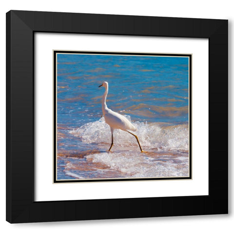 Toe Dipper Black Modern Wood Framed Art Print with Double Matting by Singleton, Ashley