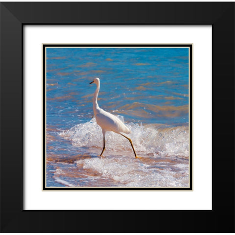 Toe Dipper Black Modern Wood Framed Art Print with Double Matting by Singleton, Ashley