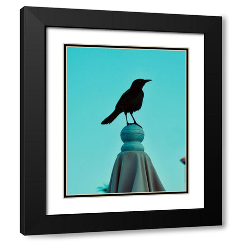 Blue Raven Black Modern Wood Framed Art Print with Double Matting by Singleton, Ashley
