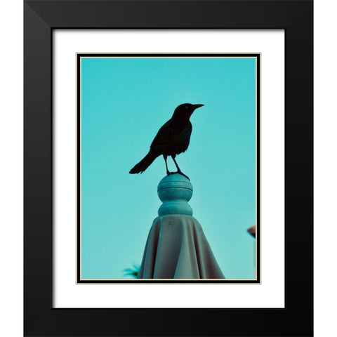 Blue Raven Black Modern Wood Framed Art Print with Double Matting by Singleton, Ashley