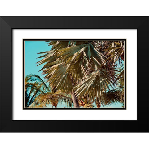 Leaves Black Modern Wood Framed Art Print with Double Matting by Singleton, Ashley