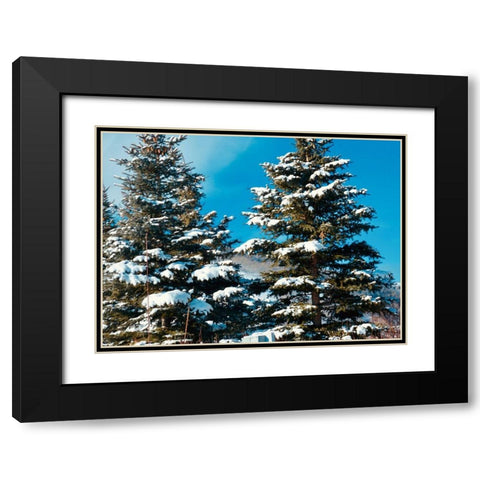 Evergreens Black Modern Wood Framed Art Print with Double Matting by Singleton, Ashley