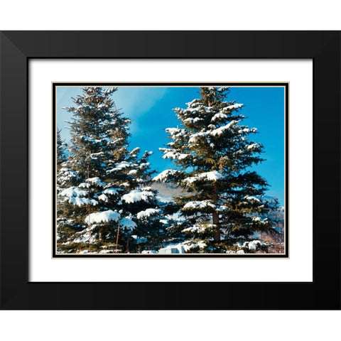 Evergreens Black Modern Wood Framed Art Print with Double Matting by Singleton, Ashley