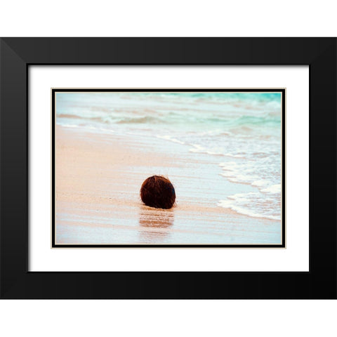 Coconut Black Modern Wood Framed Art Print with Double Matting by Singleton, Ashley