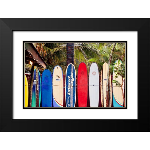 Surf Boards Black Modern Wood Framed Art Print with Double Matting by Singleton, Ashley