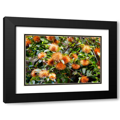 Orange Guys Black Modern Wood Framed Art Print with Double Matting by Singleton, Ashley