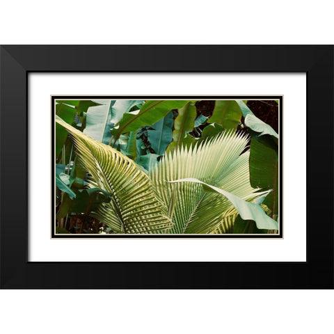 Jungle Love Black Modern Wood Framed Art Print with Double Matting by Singleton, Ashley