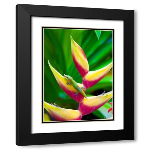 Liz Black Modern Wood Framed Art Print with Double Matting by Singleton, Ashley