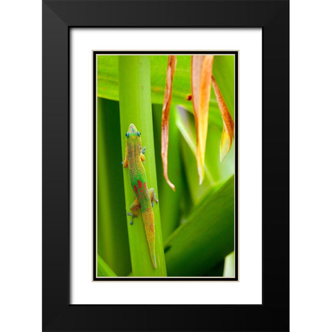 Lizs Back Black Modern Wood Framed Art Print with Double Matting by Singleton, Ashley