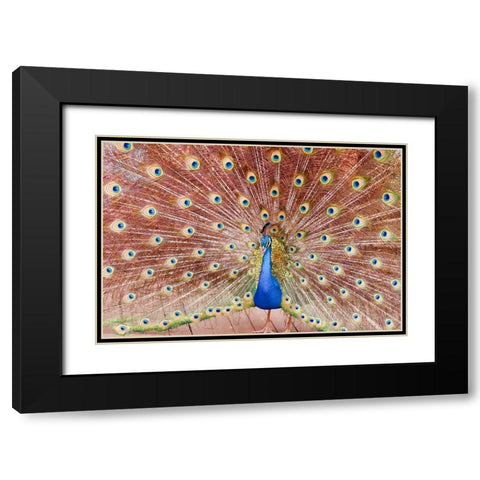 Plume III Black Modern Wood Framed Art Print with Double Matting by Singleton, Ashley