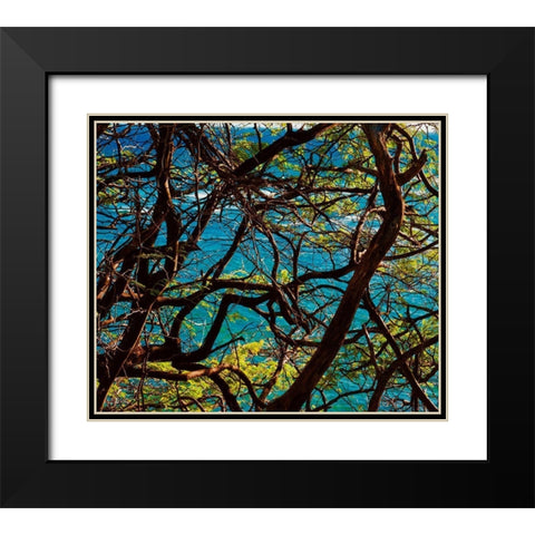 Branches Black Modern Wood Framed Art Print with Double Matting by Singleton, Ashley