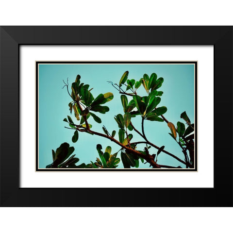 Leaves Black Modern Wood Framed Art Print with Double Matting by Singleton, Ashley