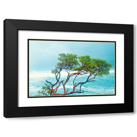 Tropical Trees Black Modern Wood Framed Art Print with Double Matting by Singleton, Ashley