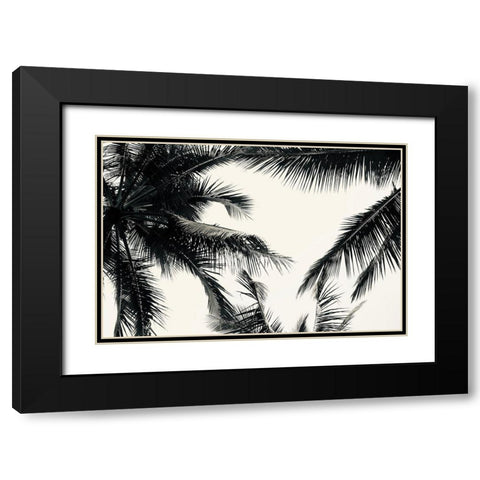 BW Palms Black Modern Wood Framed Art Print with Double Matting by Singleton, Ashley