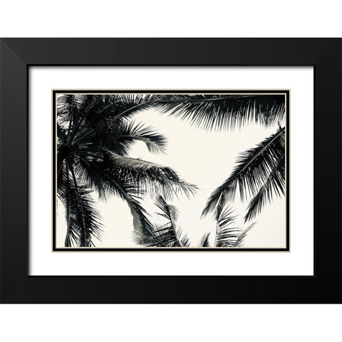 BW Palms Black Modern Wood Framed Art Print with Double Matting by Singleton, Ashley