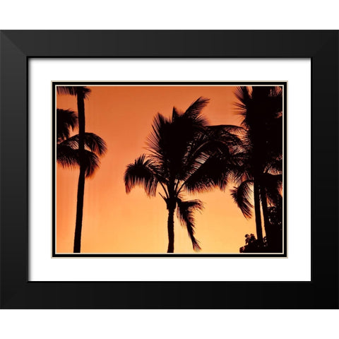 Palms at Sunset Black Modern Wood Framed Art Print with Double Matting by Singleton, Ashley