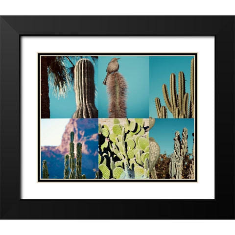 Cactus Black Modern Wood Framed Art Print with Double Matting by Singleton, Ashley