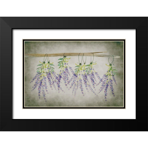 Country Living II Black Modern Wood Framed Art Print with Double Matting by ND Art