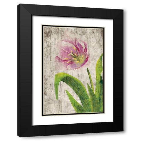Tulips I Black Modern Wood Framed Art Print with Double Matting by ND Art