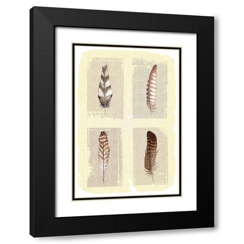 Traditional Figurative Feathers Black Modern Wood Framed Art Print with Double Matting by ND Art