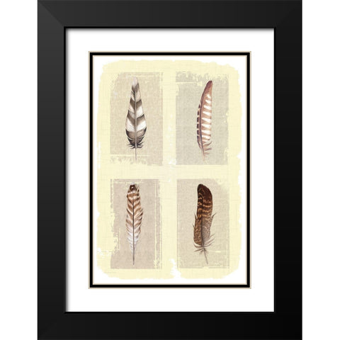 Traditional Figurative Feathers Black Modern Wood Framed Art Print with Double Matting by ND Art