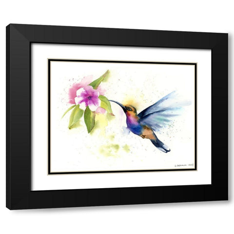 Hummingbird Black Modern Wood Framed Art Print with Double Matting by Shefranov, Olga