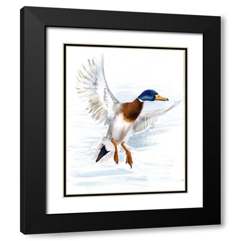 Mallard Black Modern Wood Framed Art Print with Double Matting by Shefranov, Olga