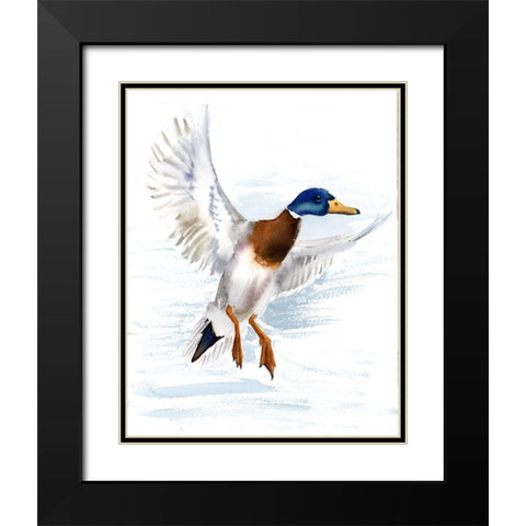 Mallard Black Modern Wood Framed Art Print with Double Matting by Shefranov, Olga