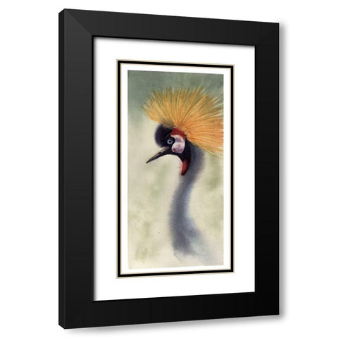 Mohawk Black Modern Wood Framed Art Print with Double Matting by Shefranov, Olga
