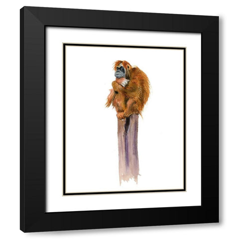 Monkey Black Modern Wood Framed Art Print with Double Matting by Shefranov, Olga