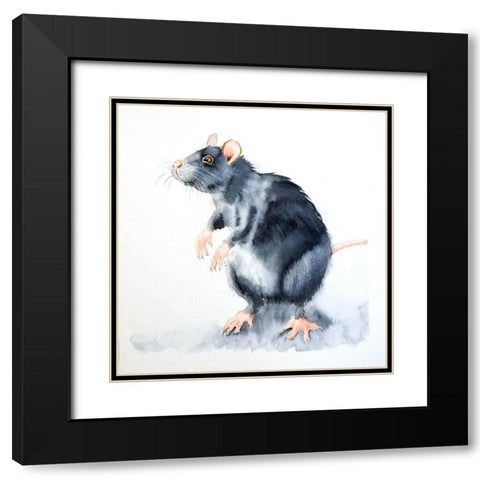 Rat II Black Modern Wood Framed Art Print with Double Matting by Shefranov, Olga