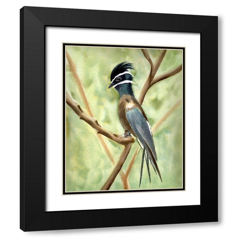 Bird on Branch Black Modern Wood Framed Art Print with Double Matting by Shefranov, Olga