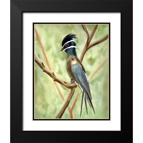 Bird on Branch Black Modern Wood Framed Art Print with Double Matting by Shefranov, Olga