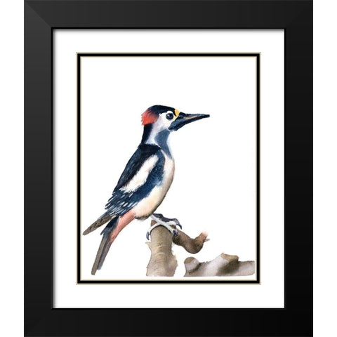 Black Beak Black Modern Wood Framed Art Print with Double Matting by Shefranov, Olga