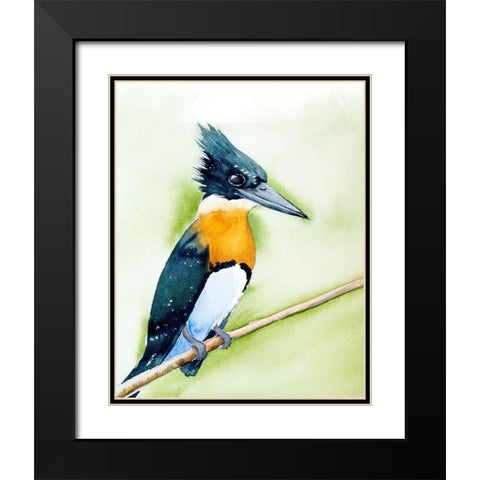 Black Beak II Black Modern Wood Framed Art Print with Double Matting by Shefranov, Olga