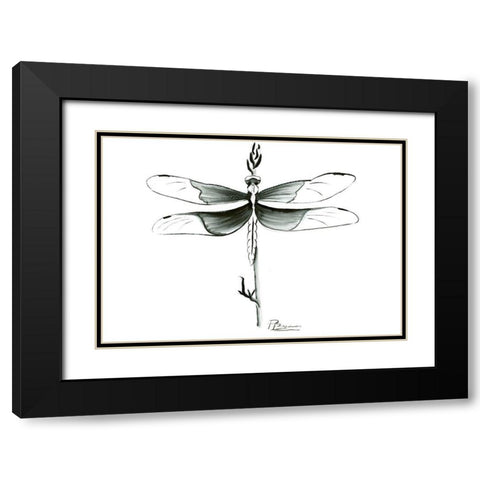 Dragonfly Black Modern Wood Framed Art Print with Double Matting by Shefranov, Olga