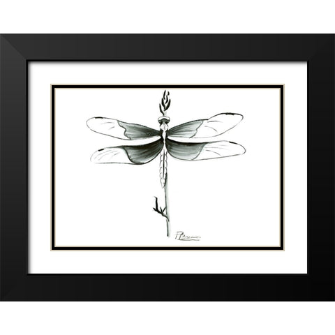 Dragonfly Black Modern Wood Framed Art Print with Double Matting by Shefranov, Olga